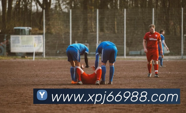 多媒体互动体验